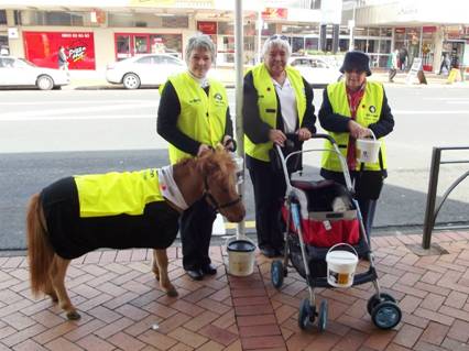Comet, a St John Outreach Therapy Pet, draws attention in Manurewa to the St John Annual Appeal 2012